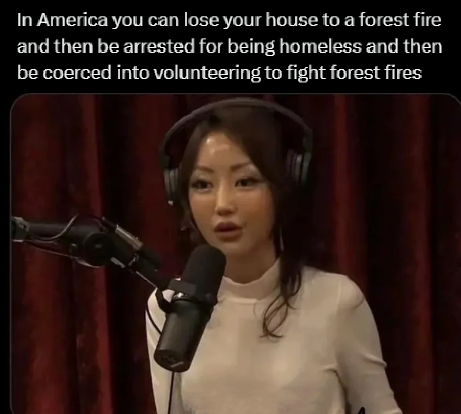 An image of Yeonmi Park speaking to Joe Rogan with the words "in America you can lose your house to a forest fire and then be arrested for being homeless and then be coerced into volunteering to fight forest fires"
